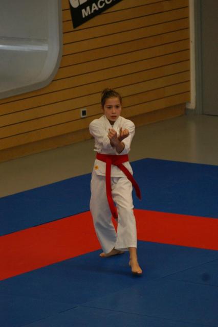 Coupe Saône et Loire Kata et kumité