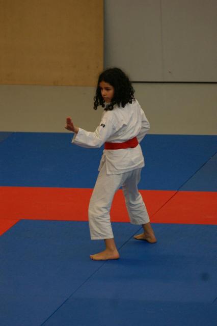 Coupe Saône et Loire Kata et kumité