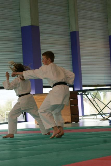 Stage du 30 mars 2014